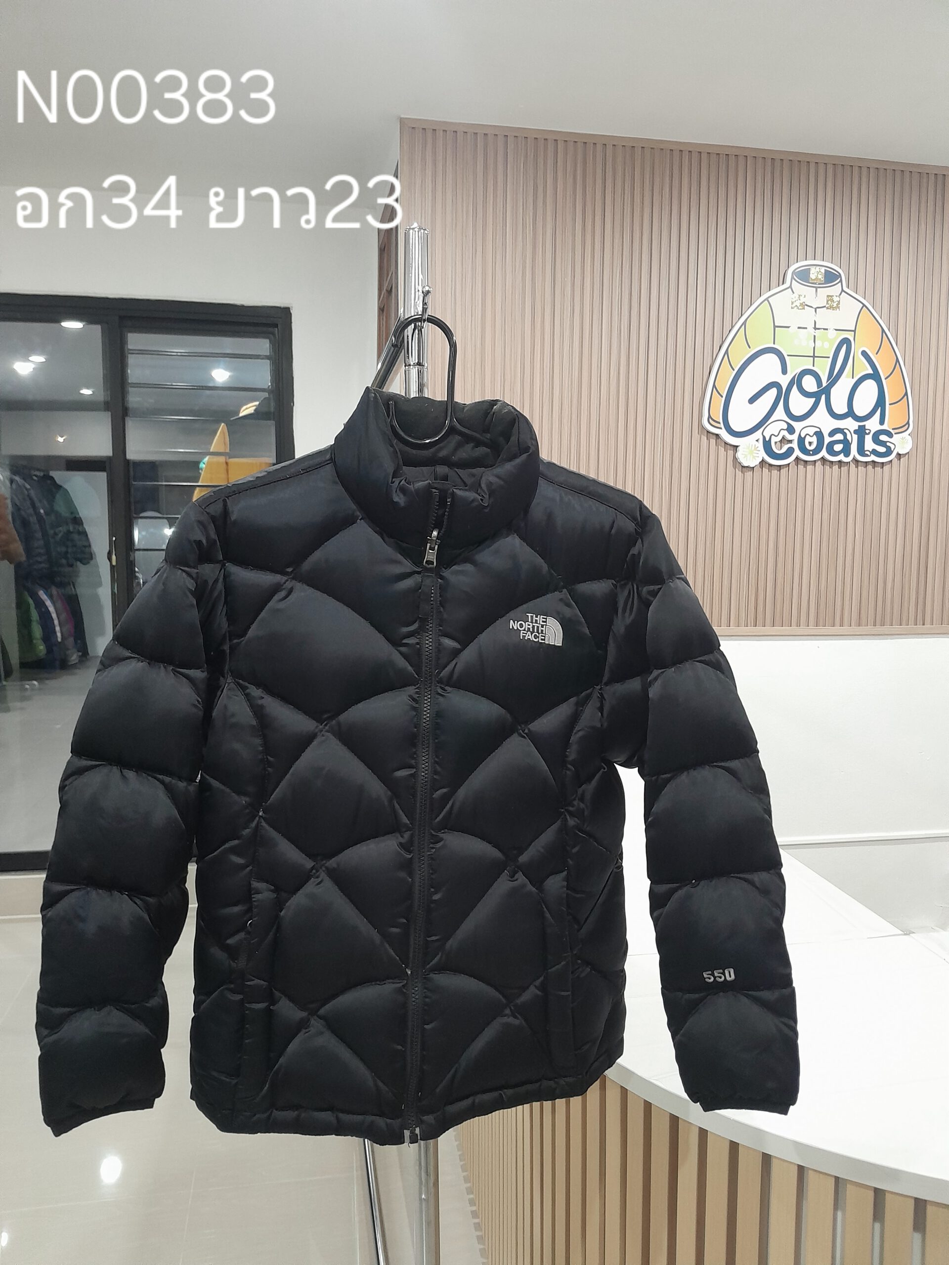 N00383 The North face