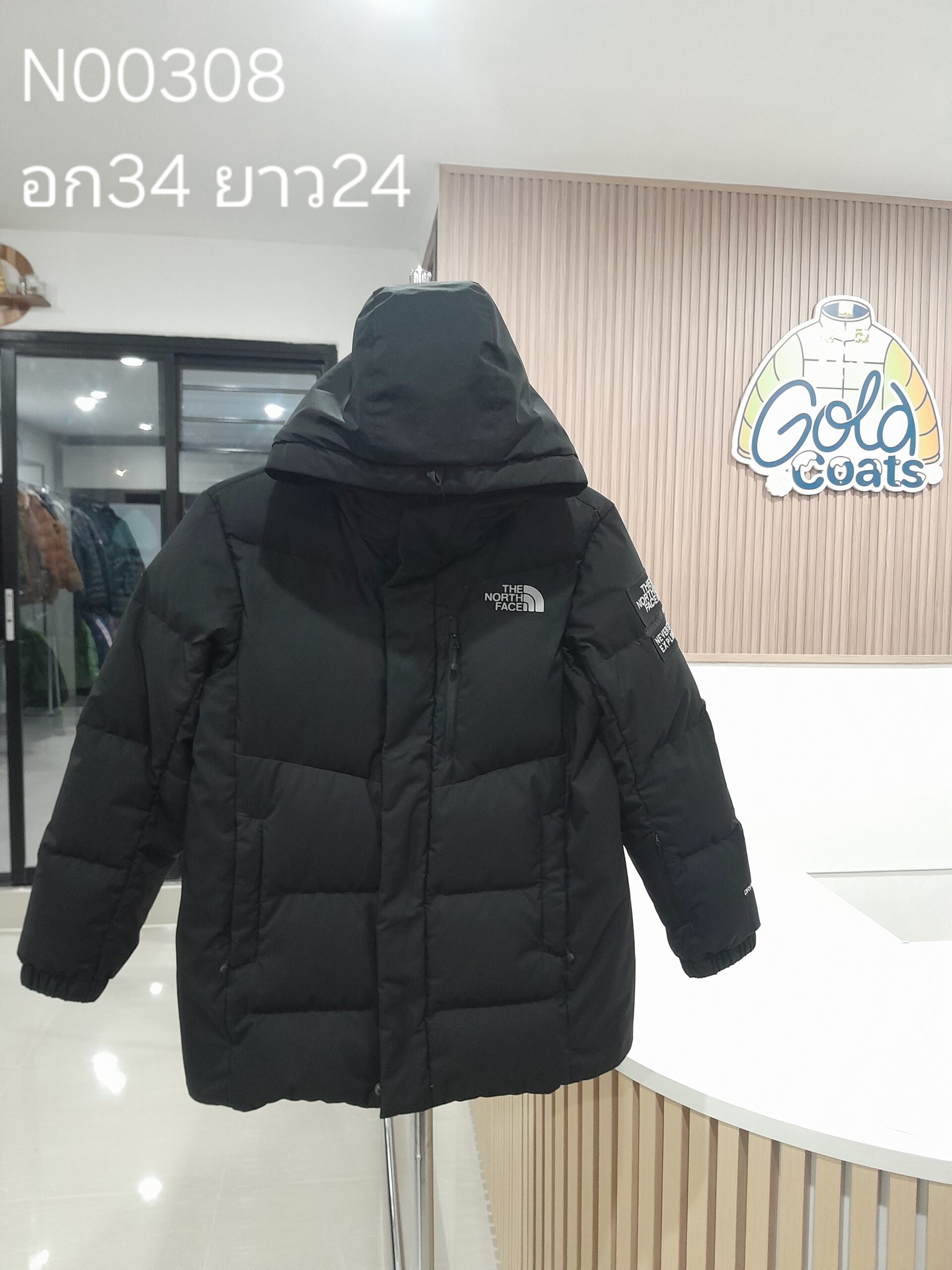 N00308 The North face