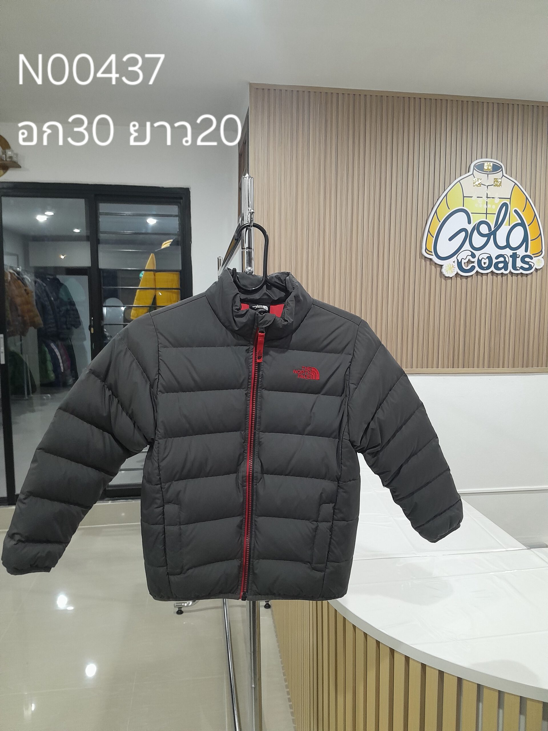 N00437 The North face