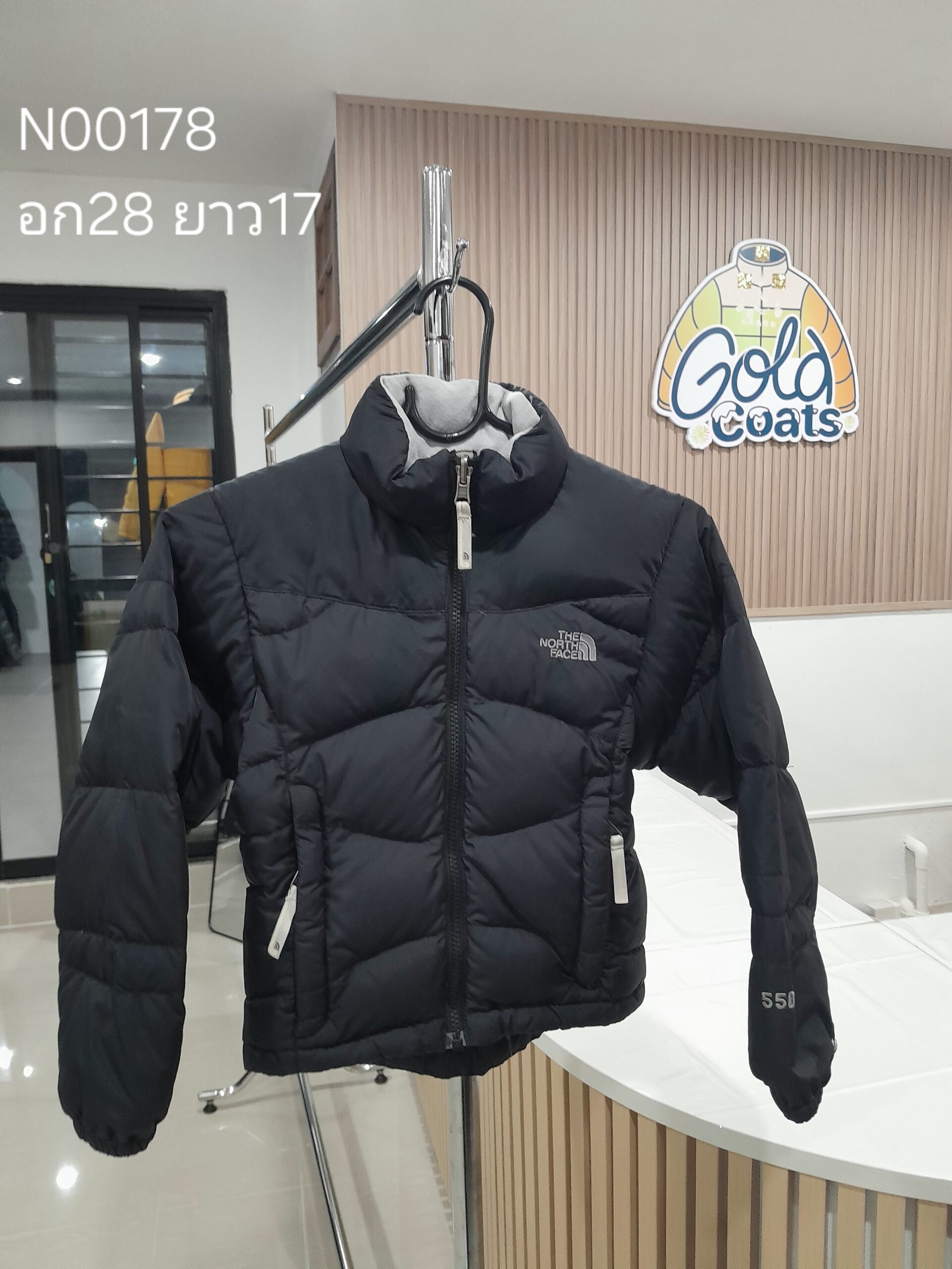 N00178 The North face