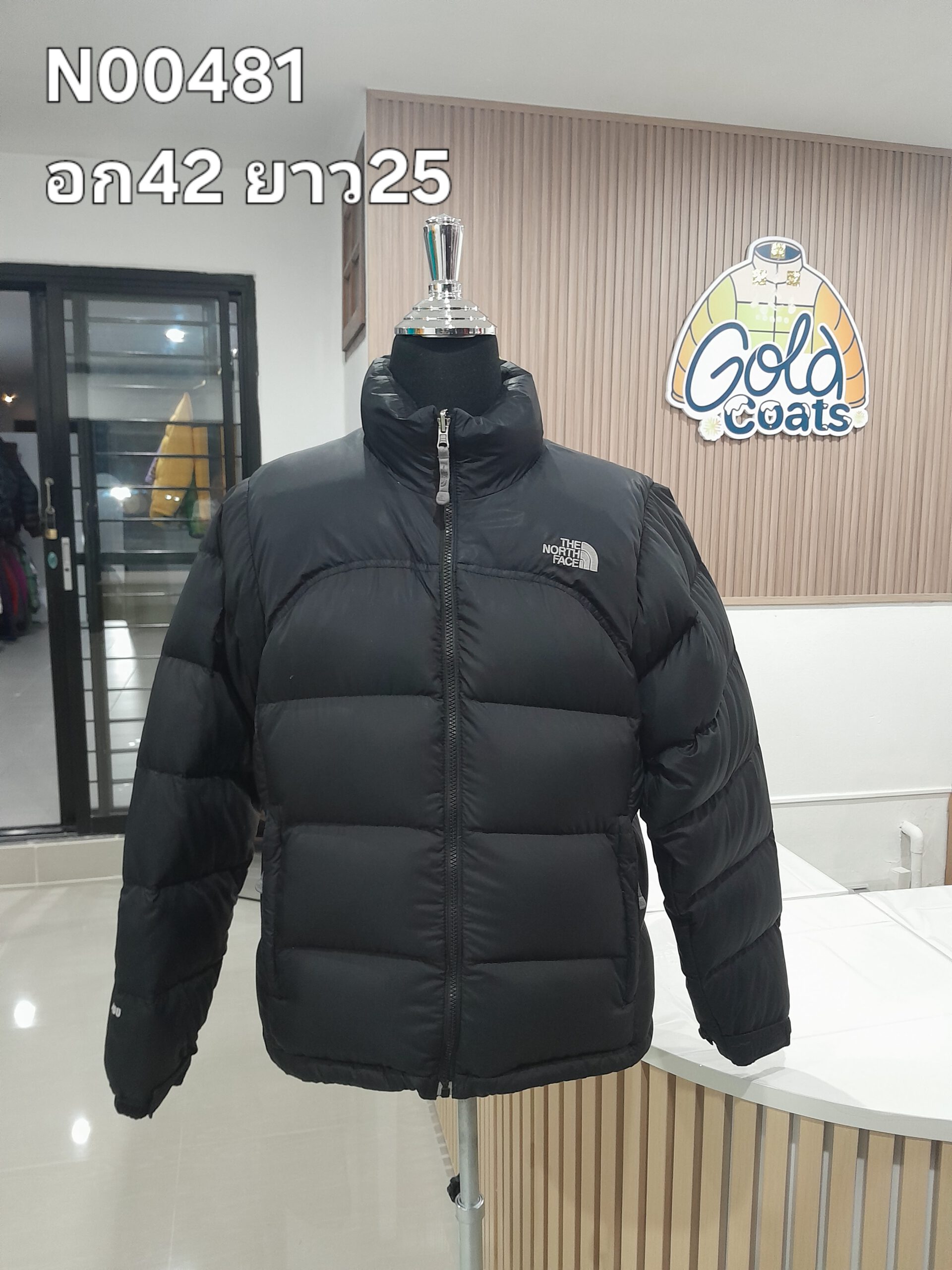 N00481 The North face