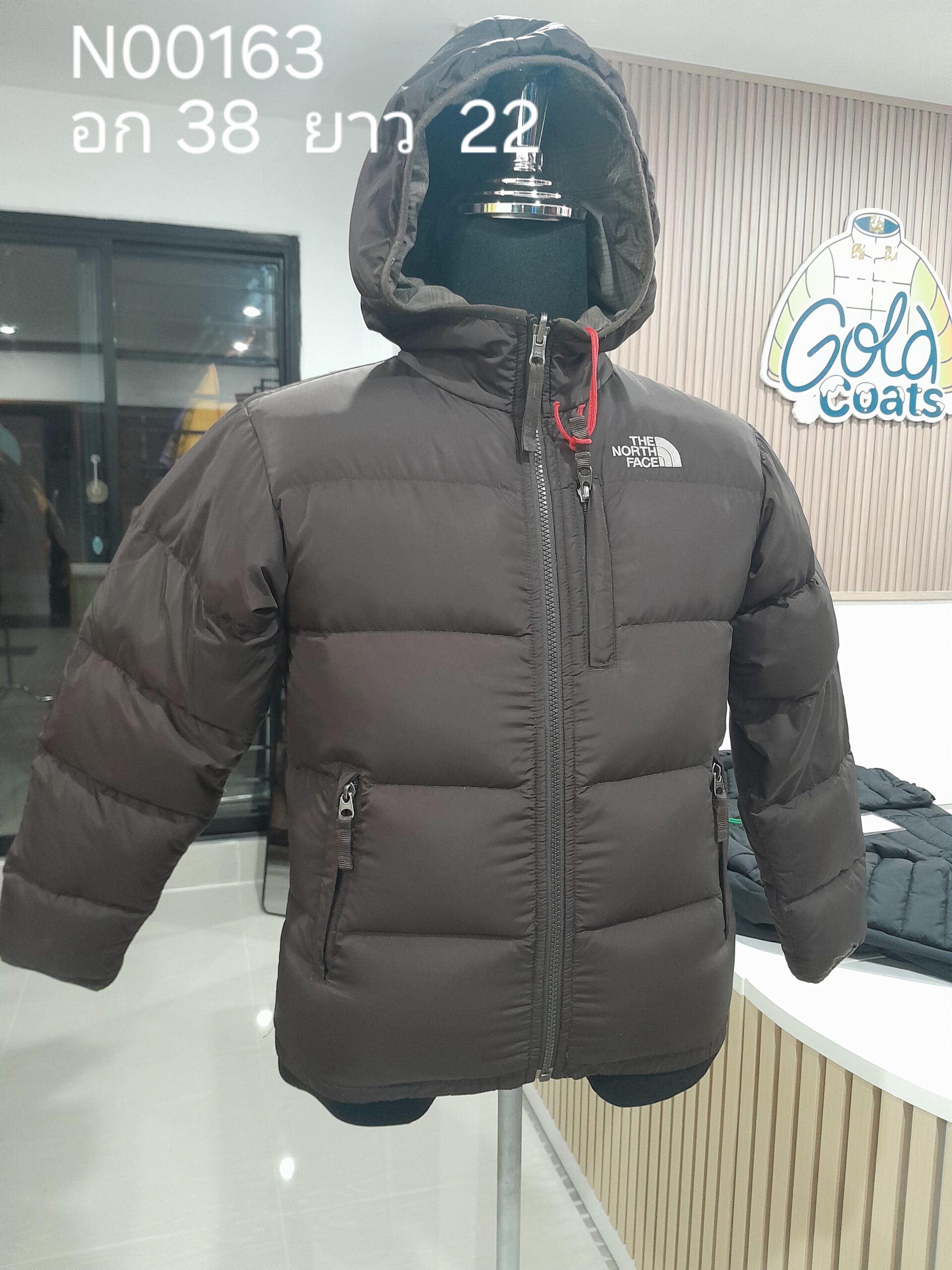 N00163 The North face