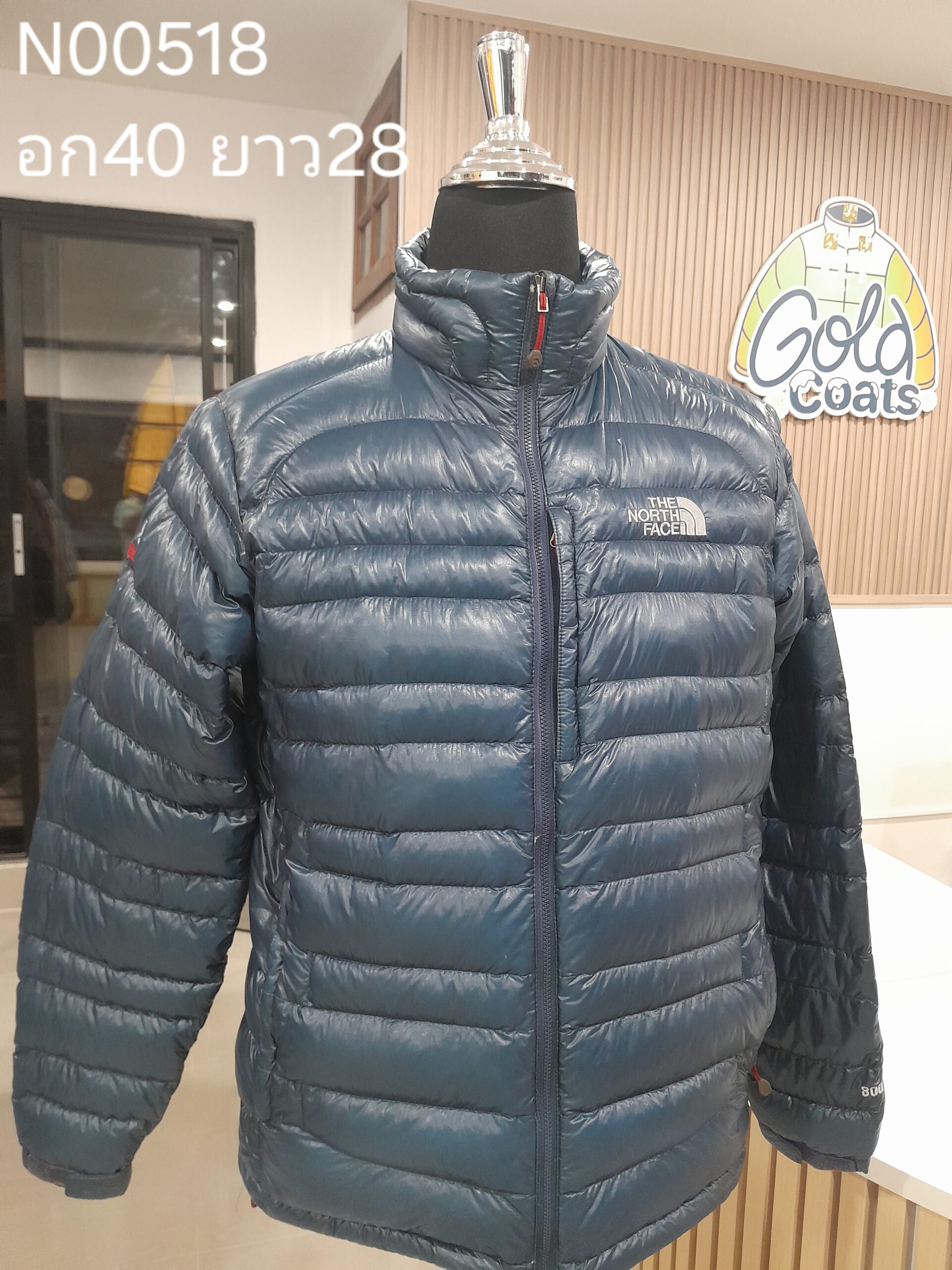 N00518 The North face