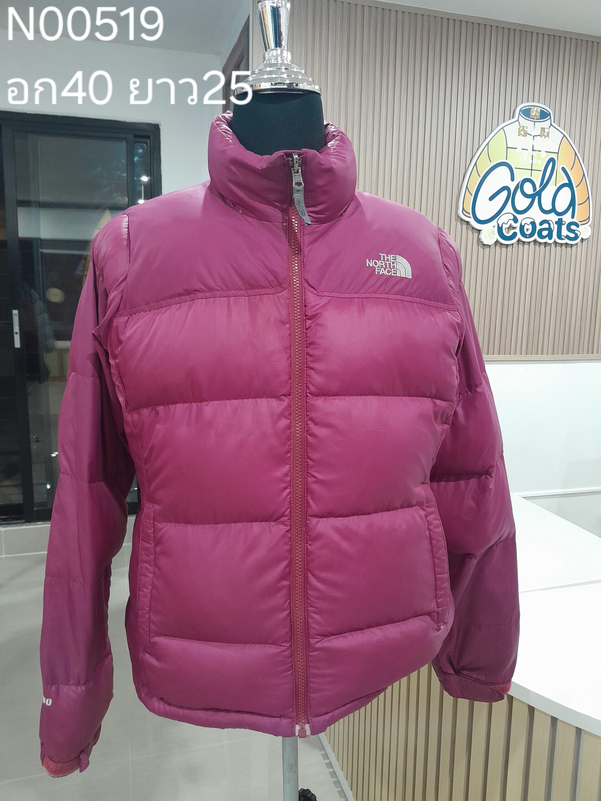 N00519 The North face