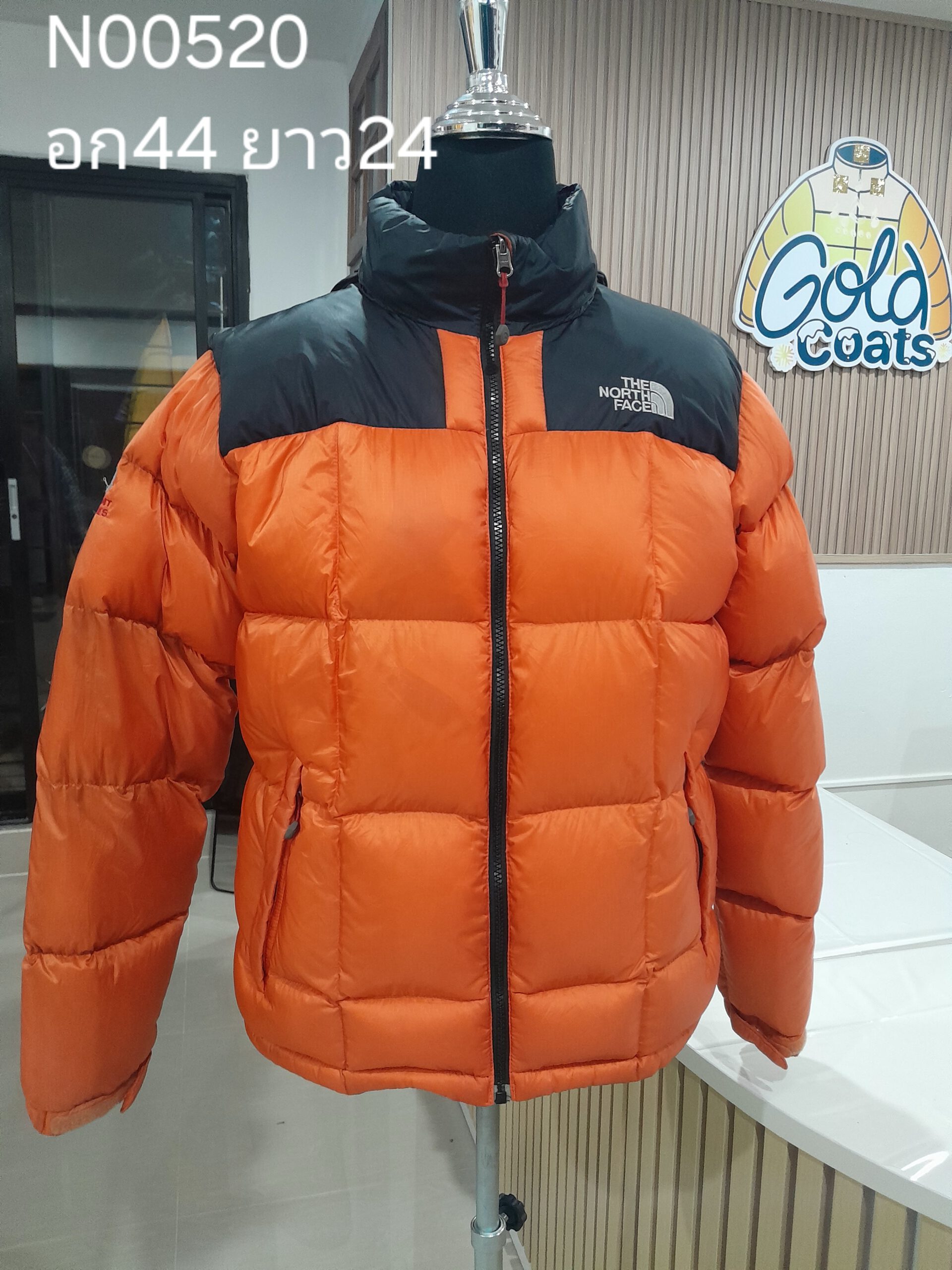 N00520 The North face