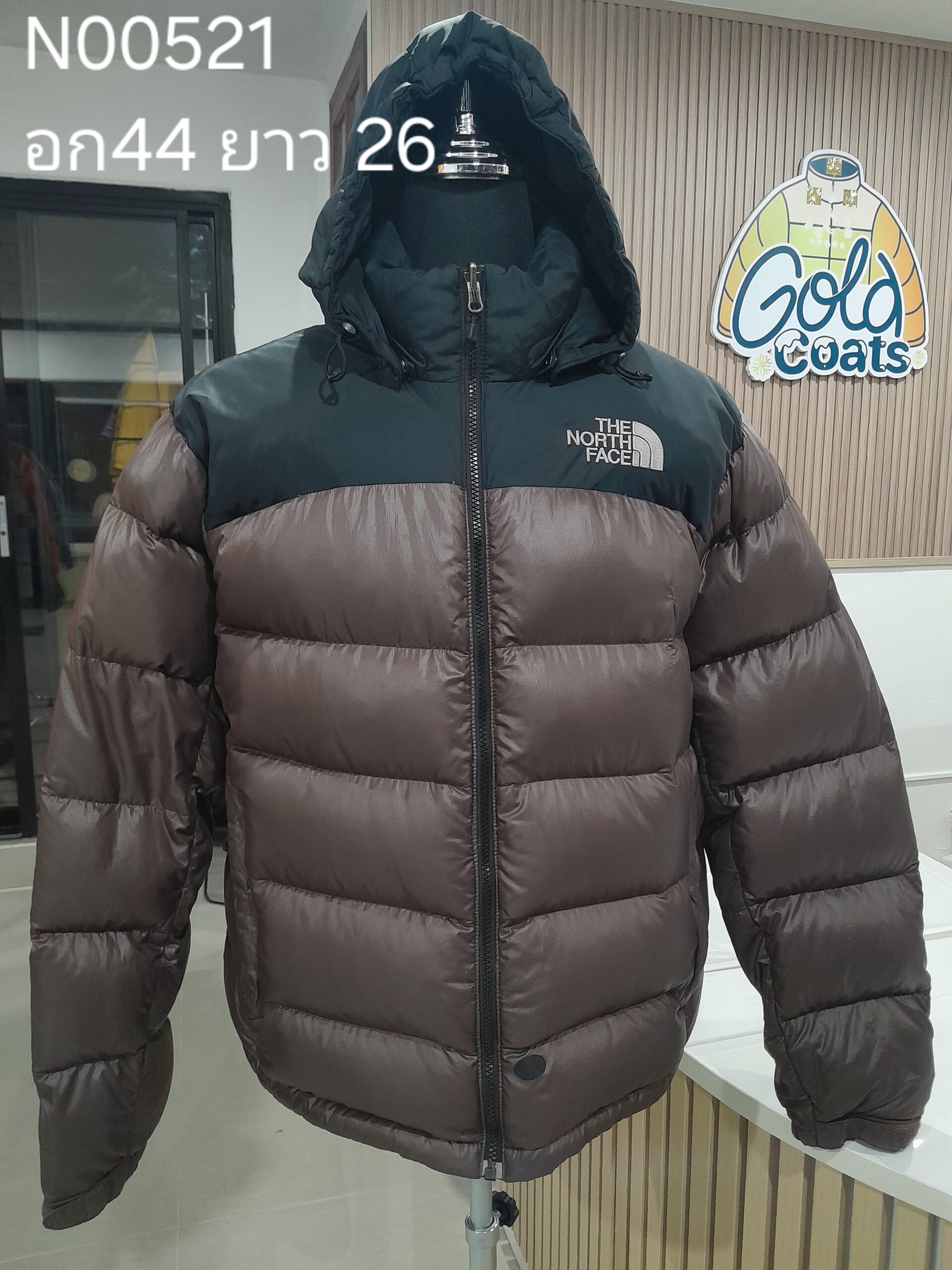 N00521 The North face