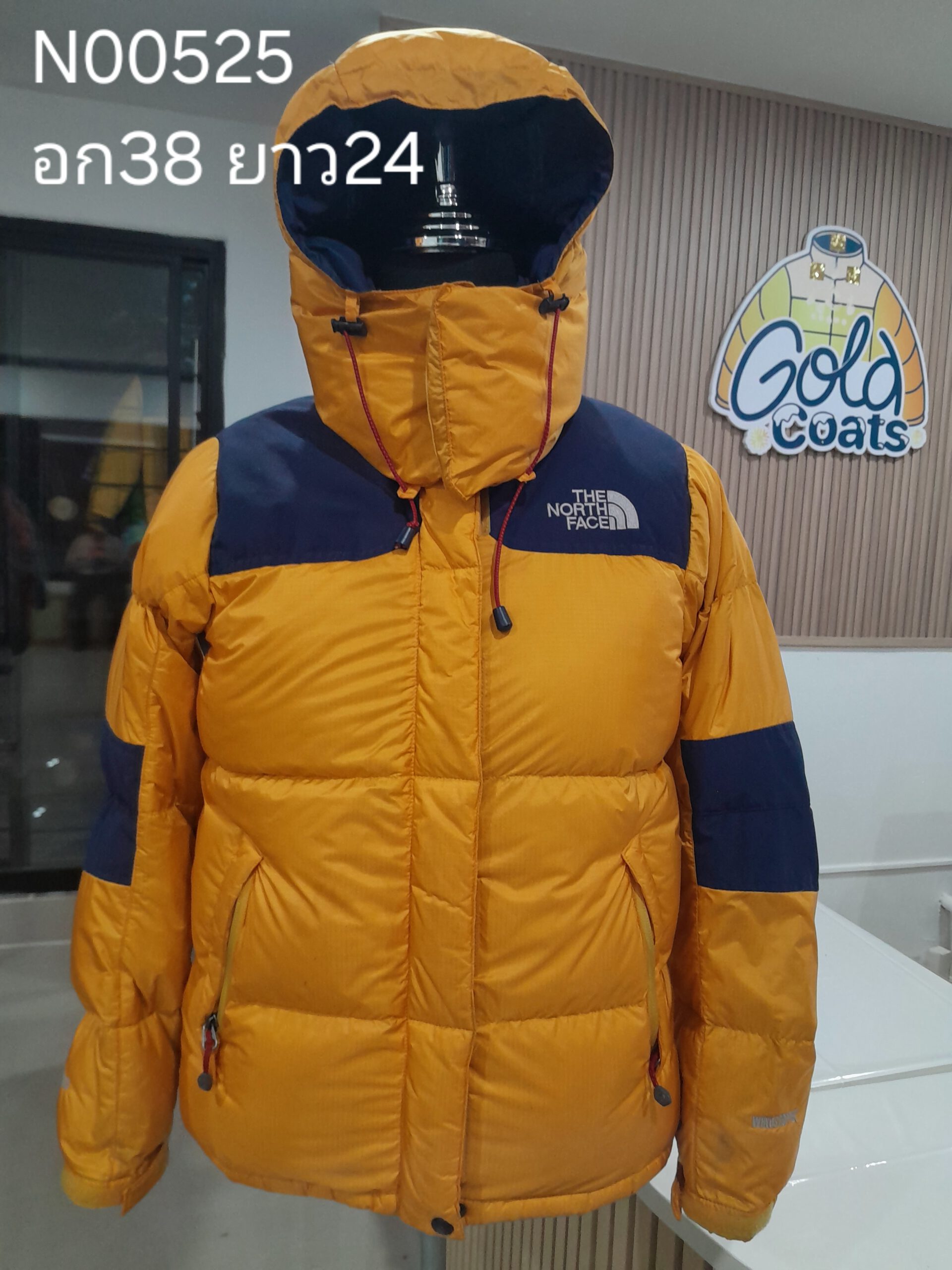 N00525 The North face