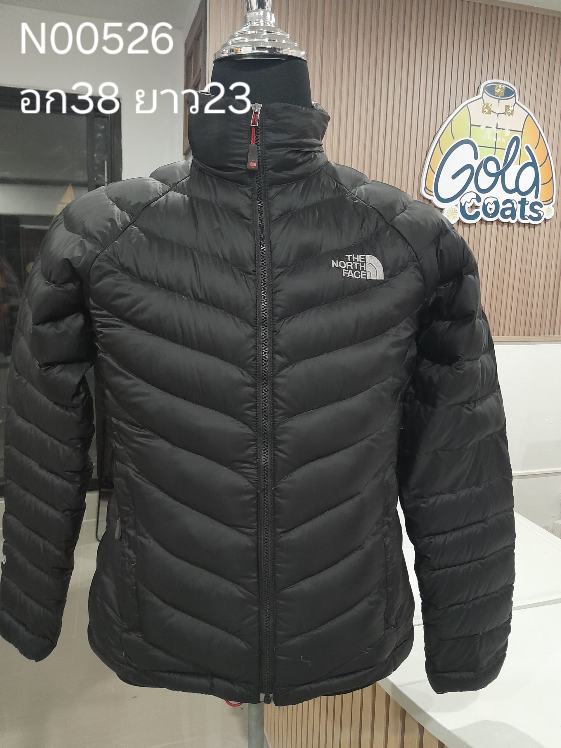 N00526 The North face