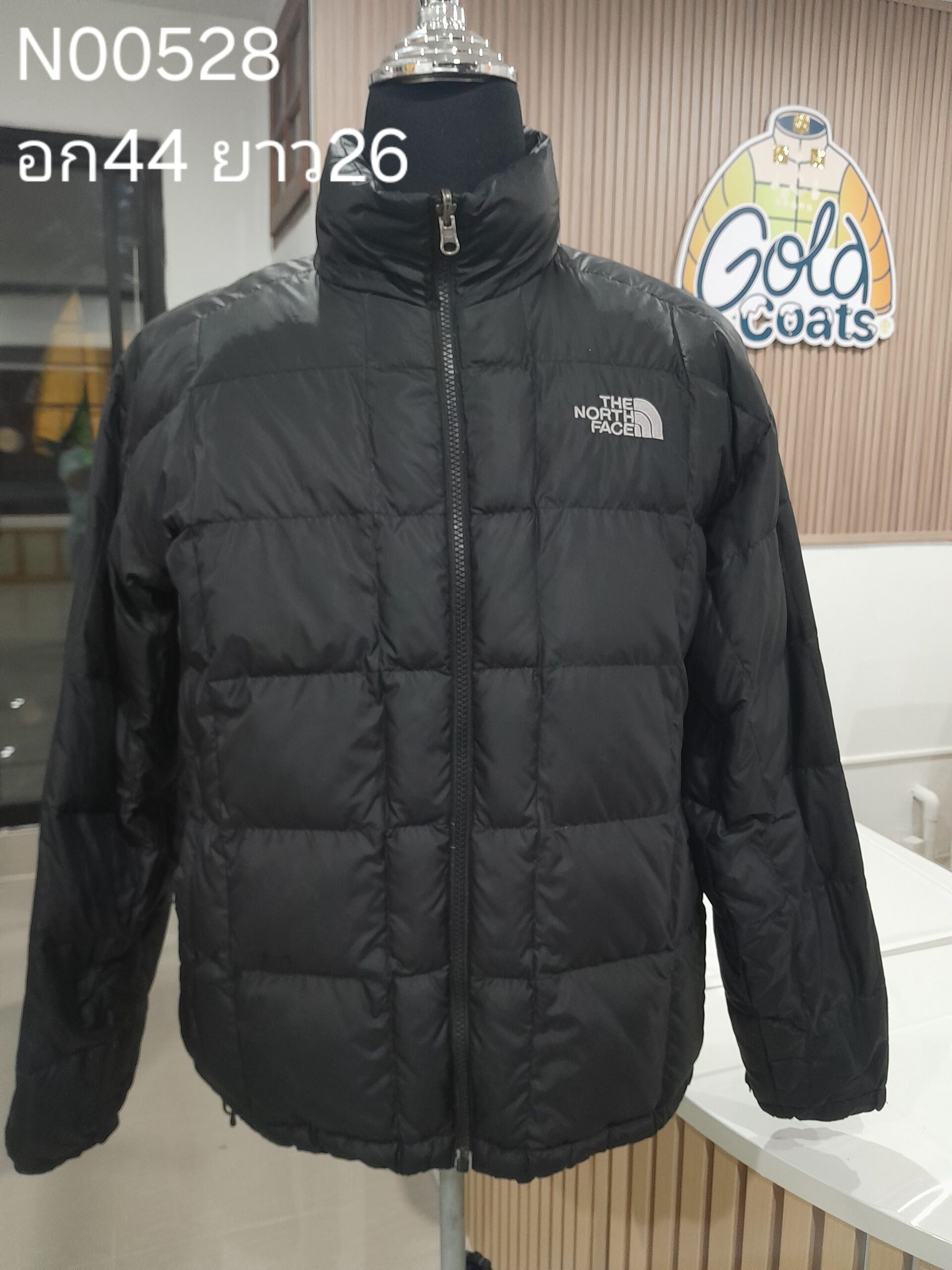 N00528 The North face
