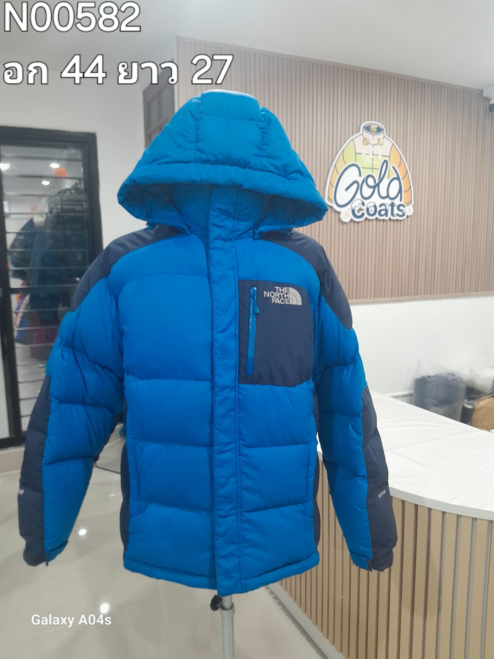 N00582 The North face