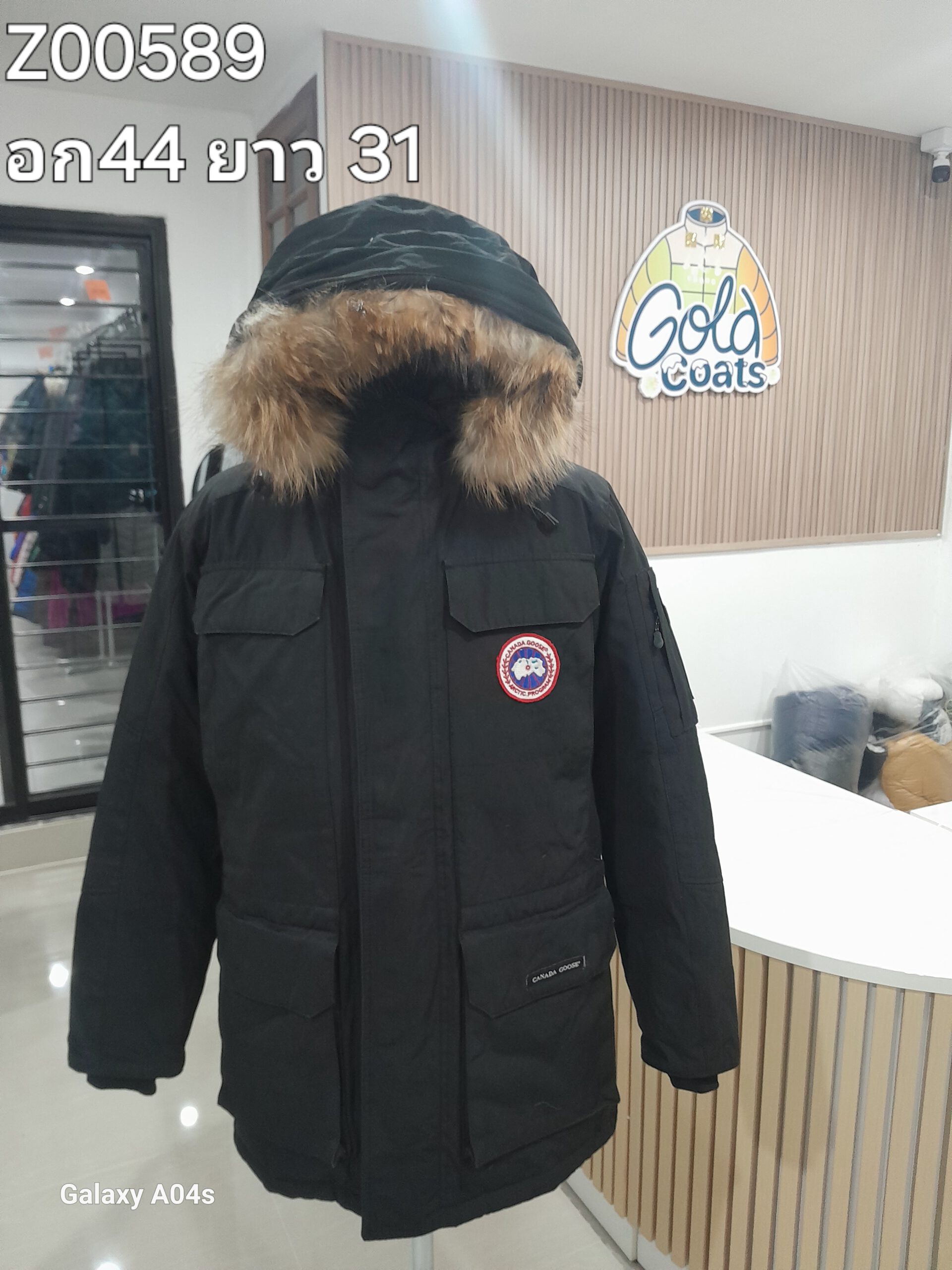 Z00589 CANNADA GOOSE