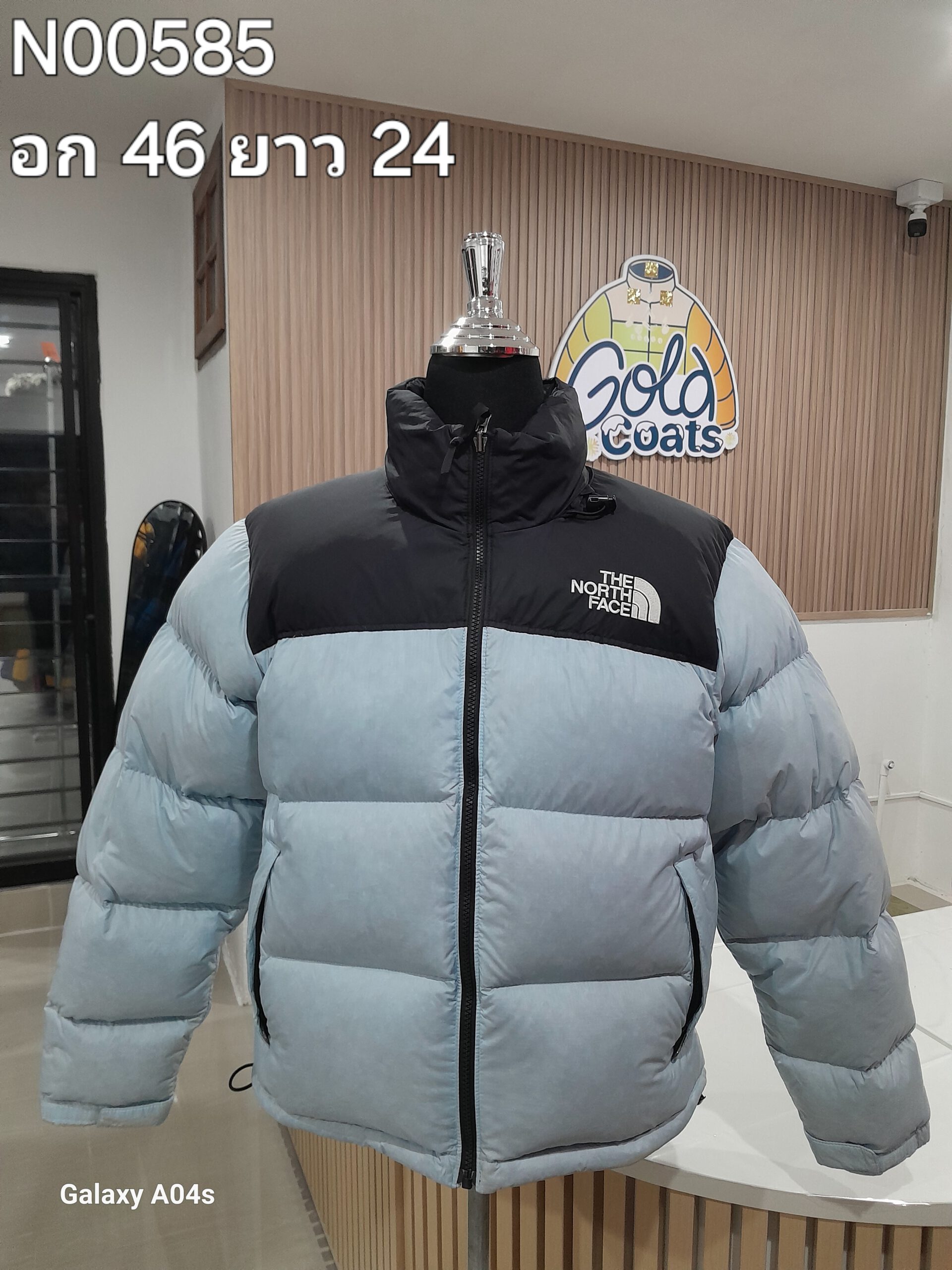 N00585 The North face