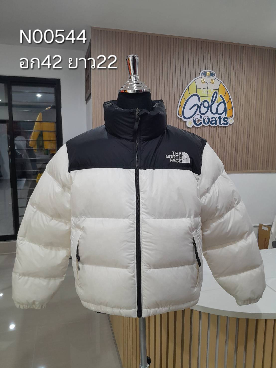 N00544 The North face