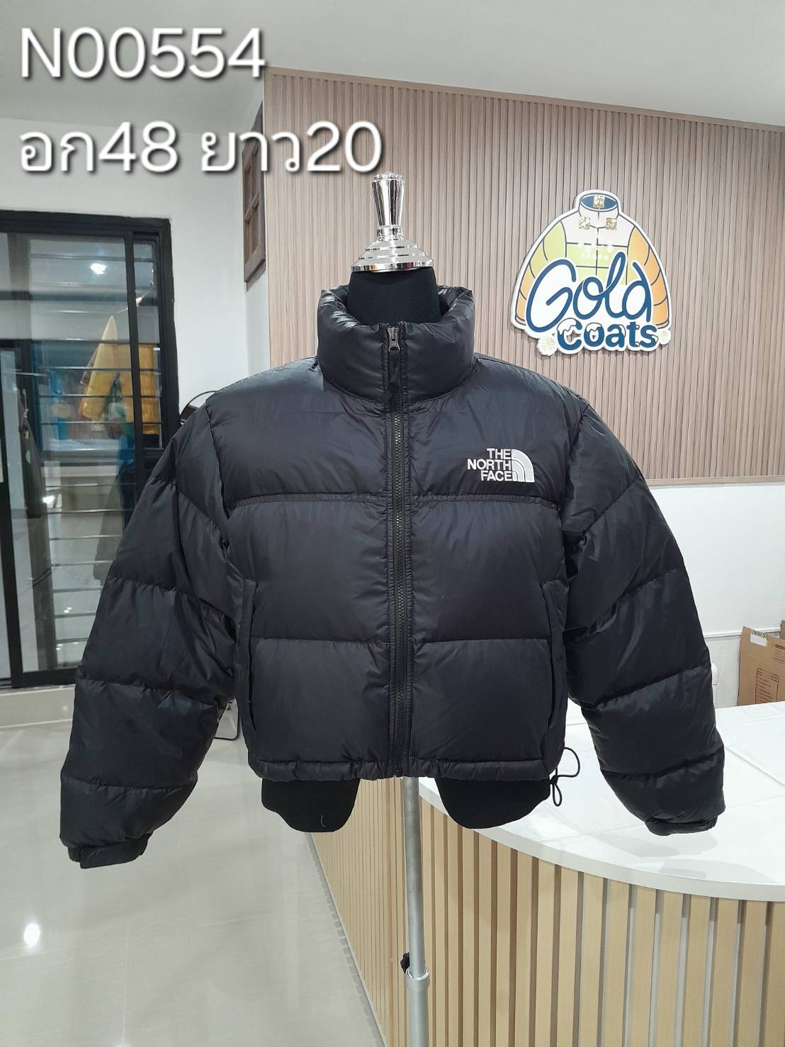 N00554 The North face