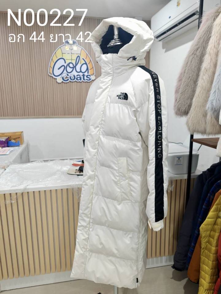 N00227 The North face