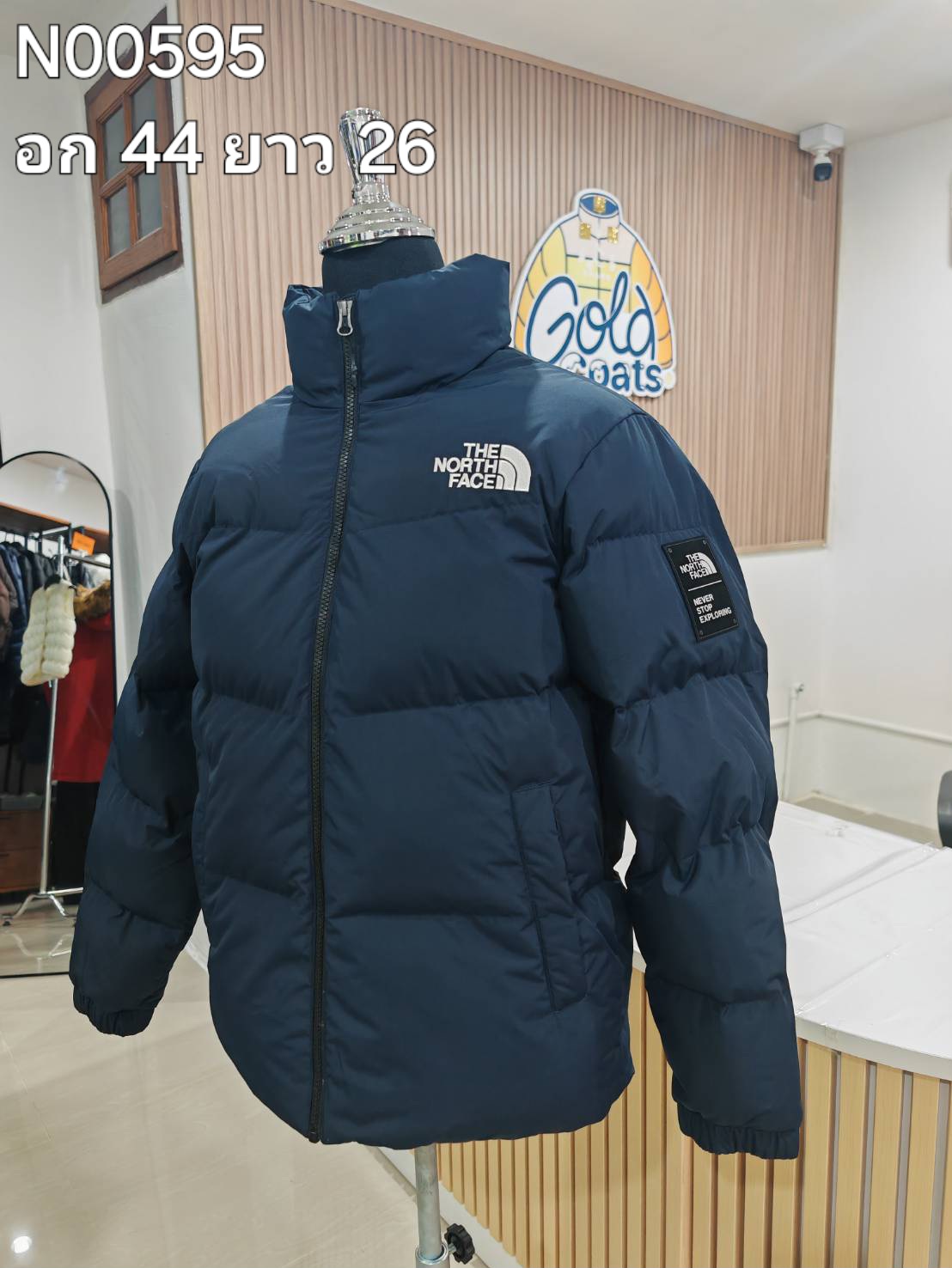 N00595 The North face