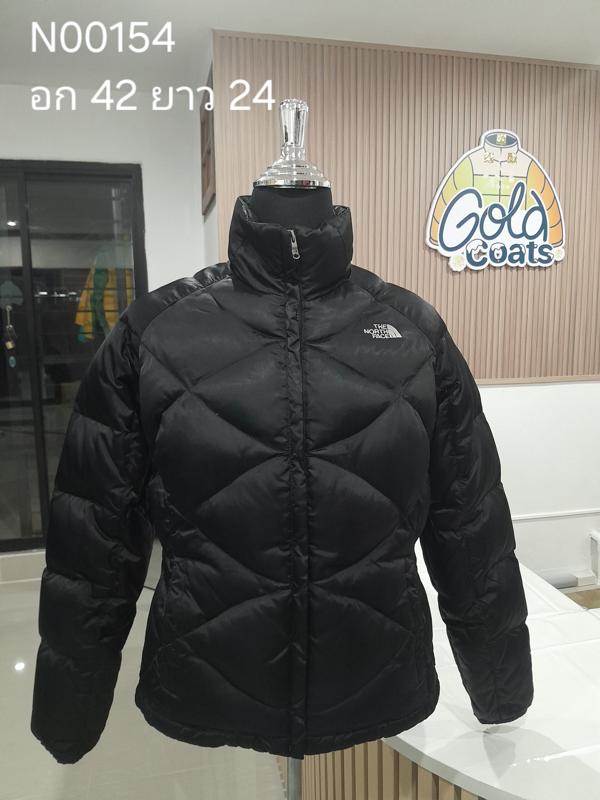 N00154 The North face