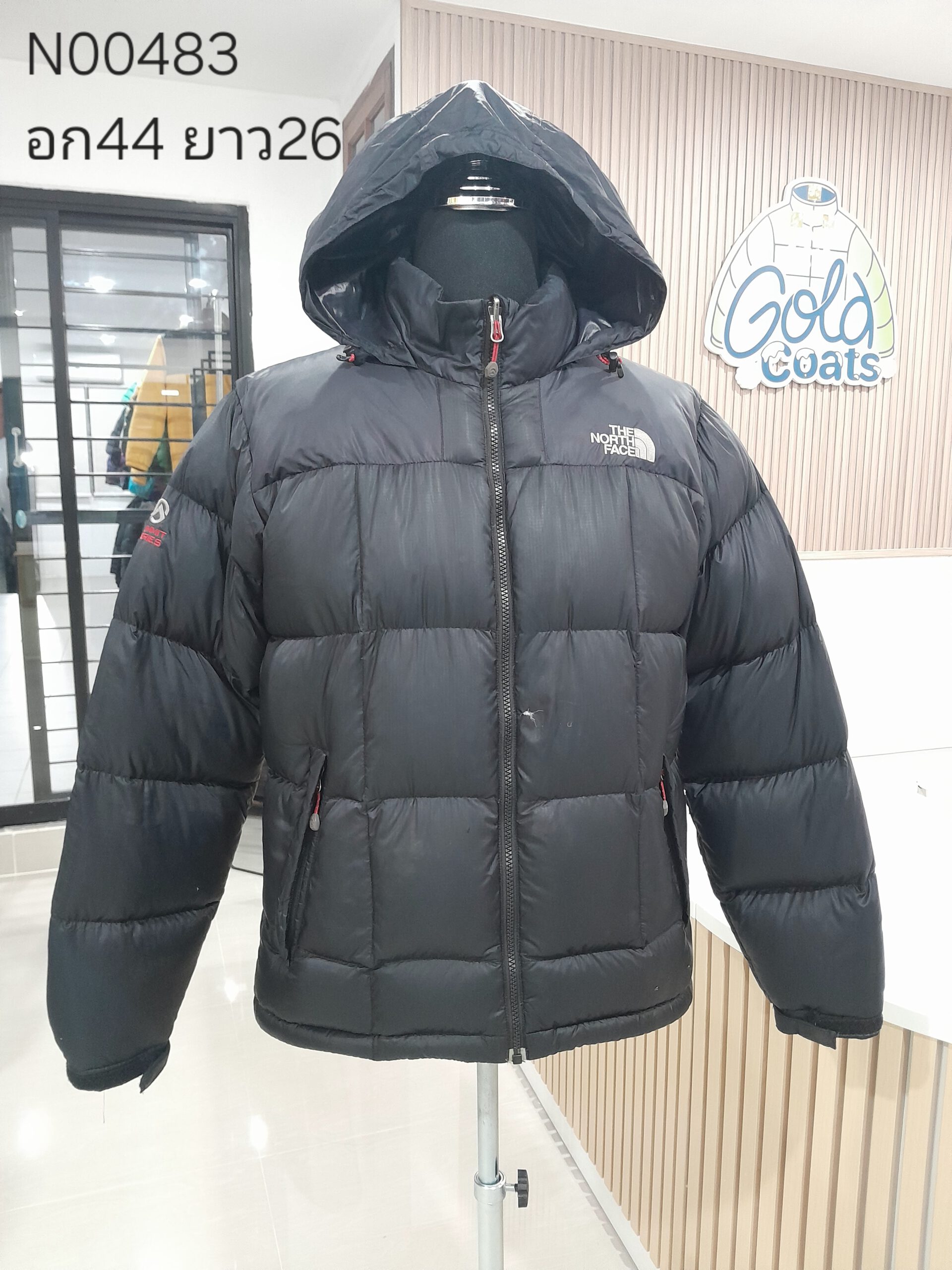 N00483 The North face