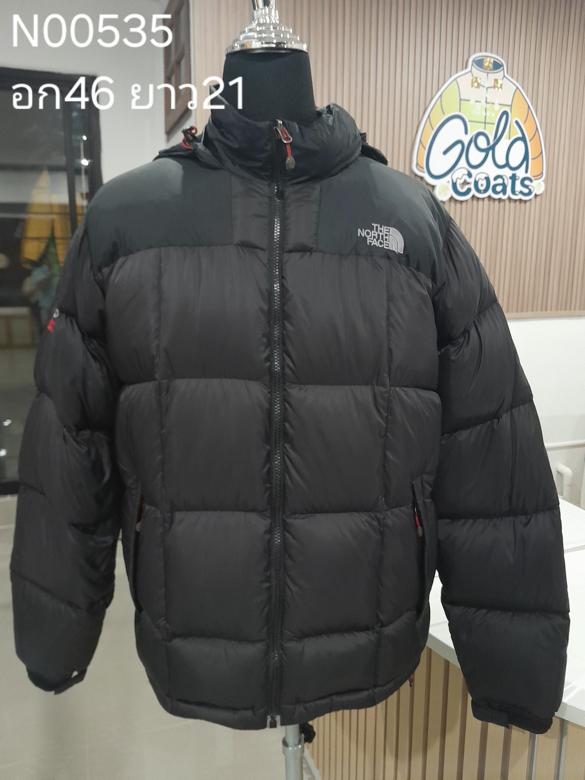 N00533 The North face