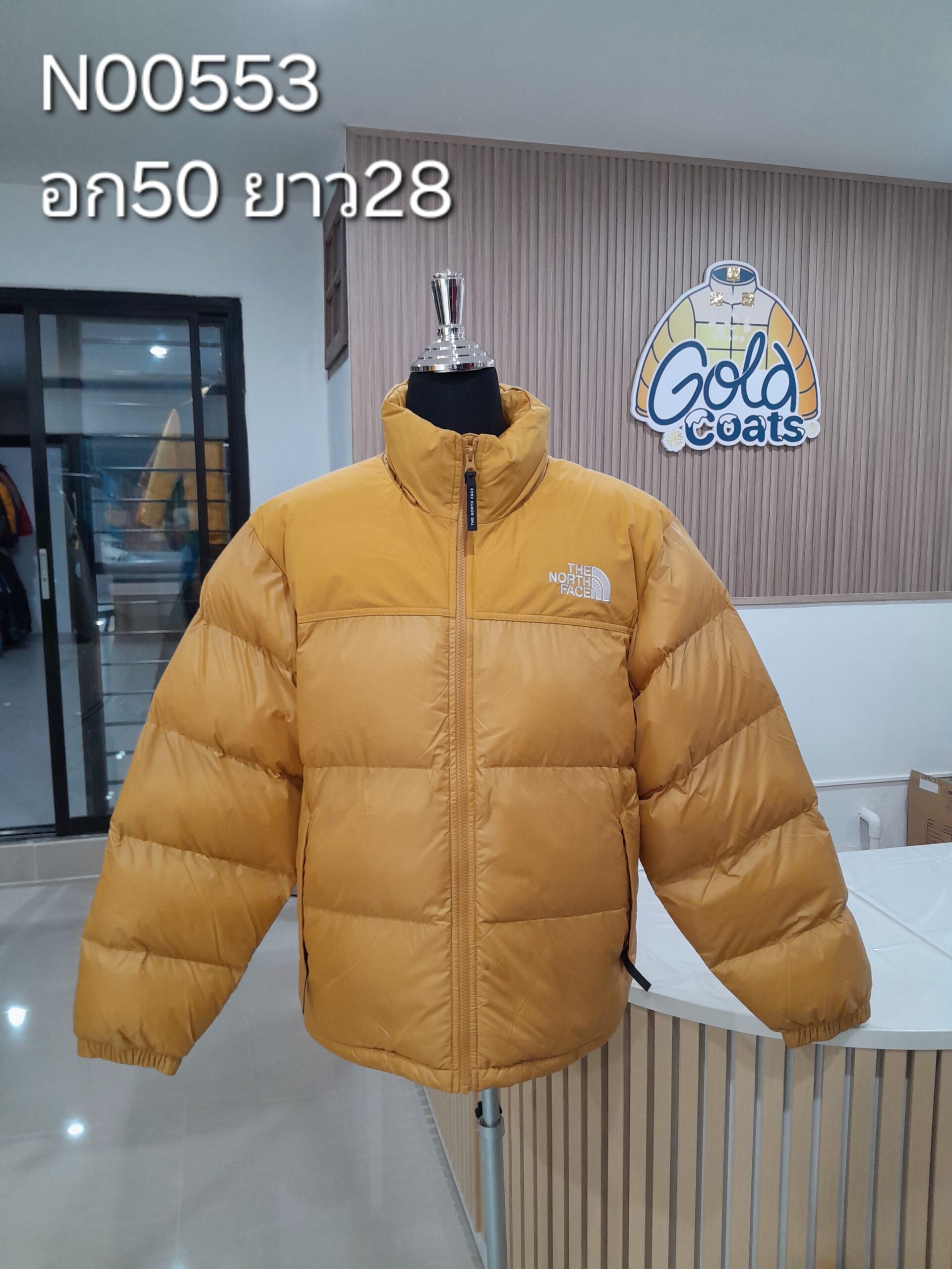 N00553 The North face