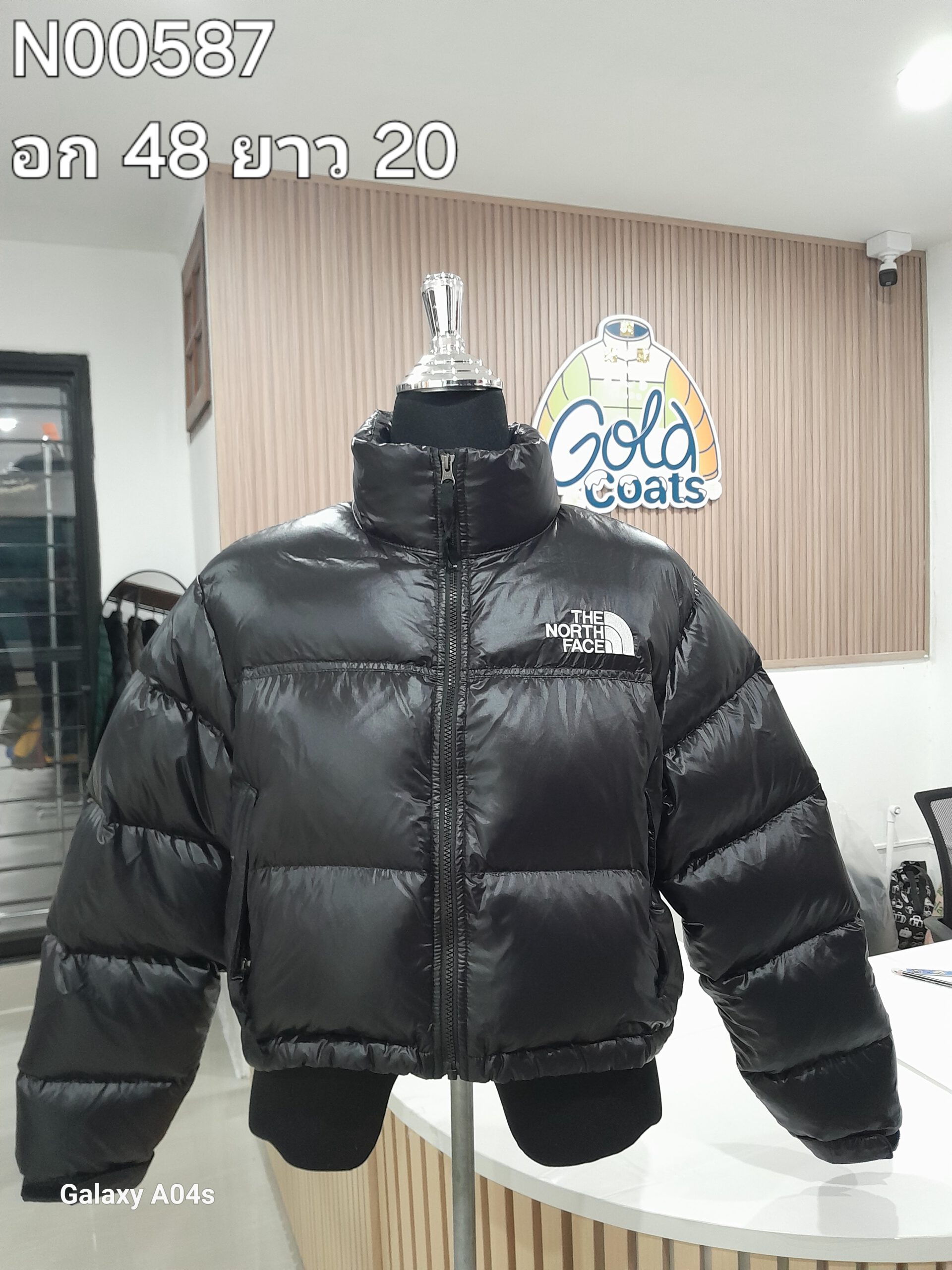N00587 The North face
