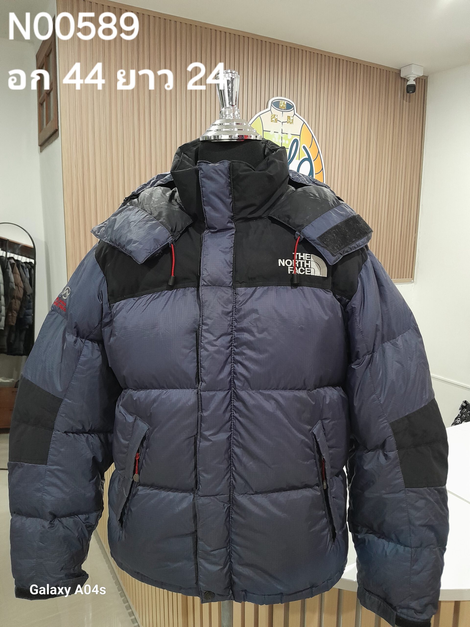 N00589 The North face