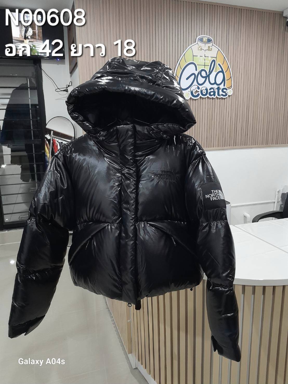 N00608 The North face