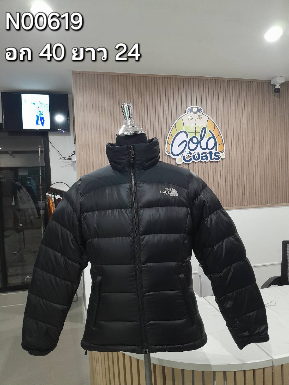 N00619 The North face