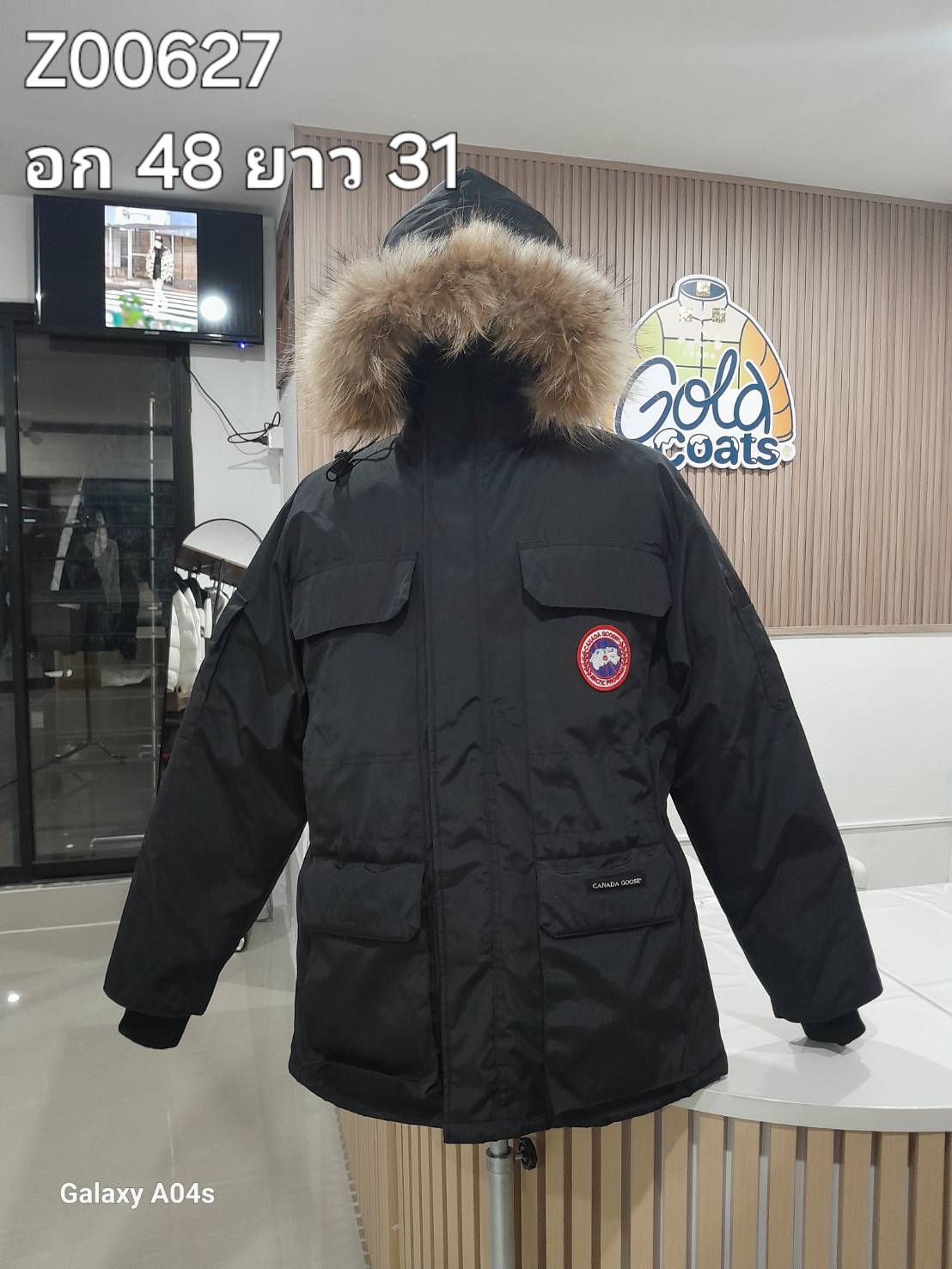 Z00627 CANNADA GOOSE