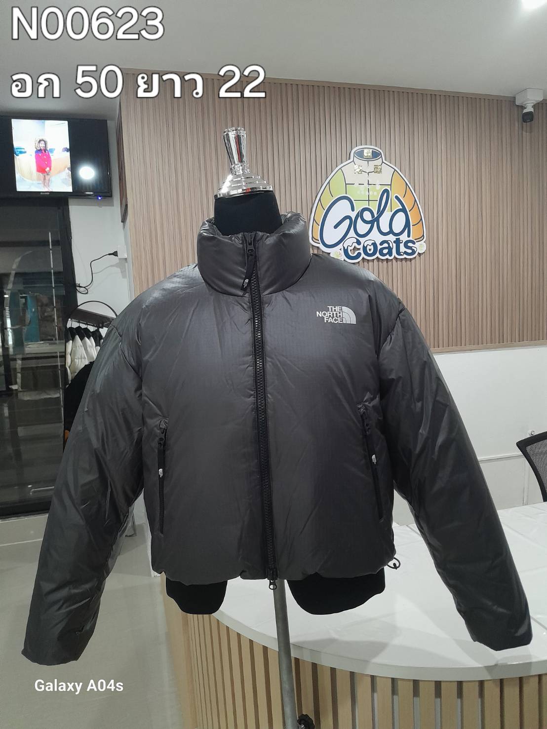 N00623 The North face