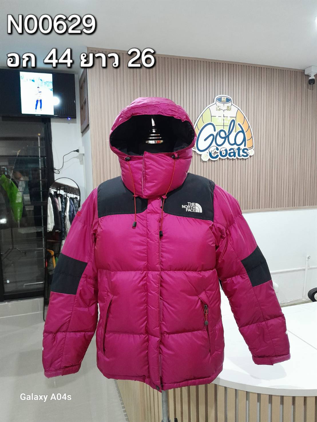N00629 The North face