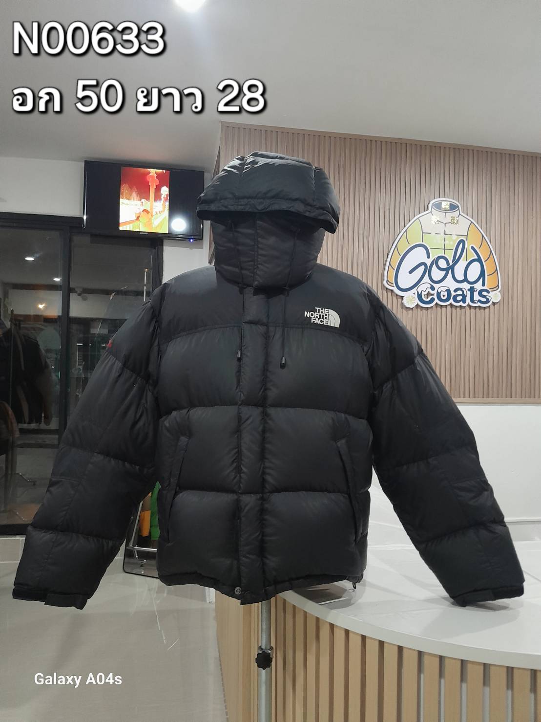 N00633 The North face