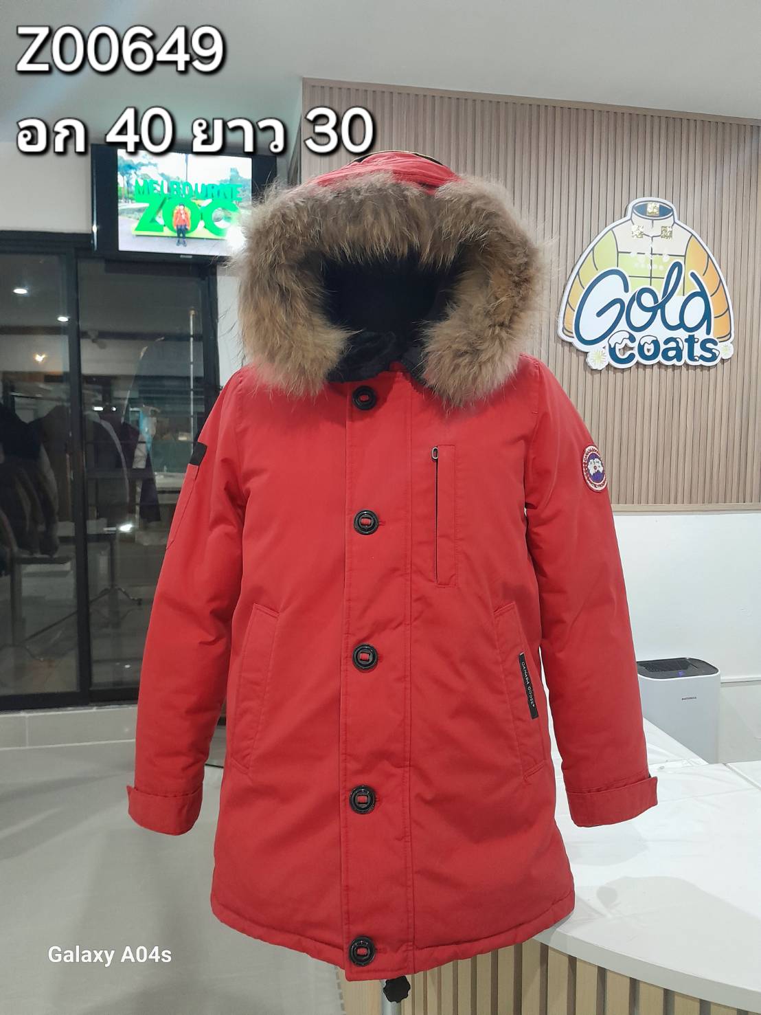 Z0069 CANNADA GOOSE