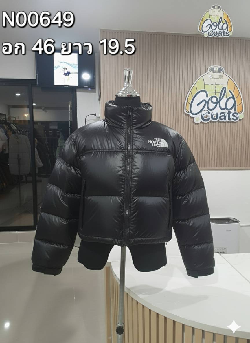 N00649 The North face