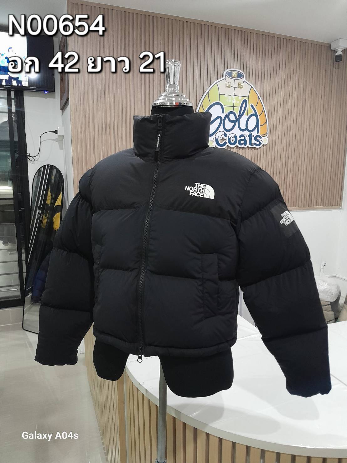 N00654 The North face